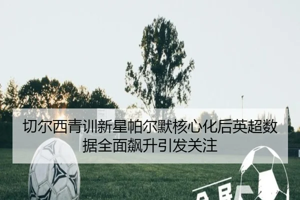 切尔西青训新星帕尔默核心化后英超数据全面飙升引发关注